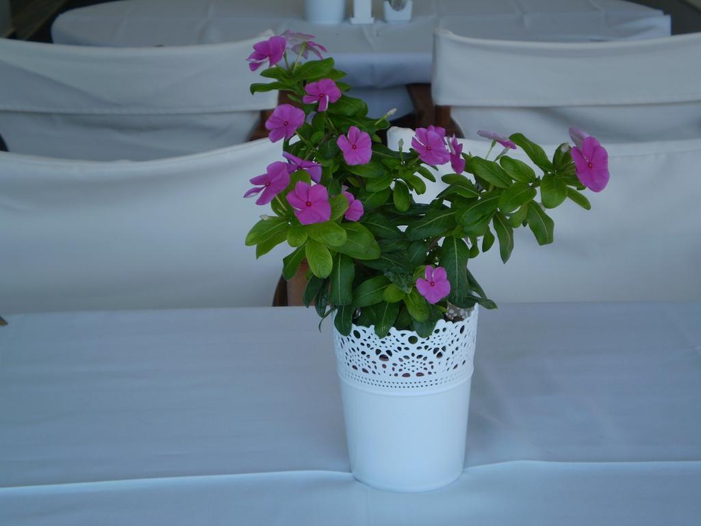 Athena Hotel Milopotamos  المظهر الخارجي الصورة